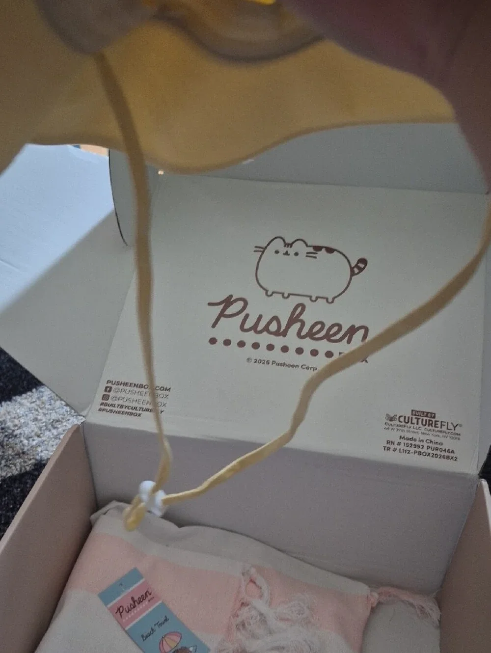 Pusheen 2026 summer